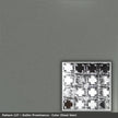 Pattern 137 Gothic Prominence tin ceiling tile — Steel Vein finish