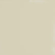 Pattern 140 Blank tin ceiling tile — Almond finish