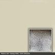 Pattern 142 Bumpy Filler tin ceiling tile — Almond finish